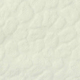 Jacquard Polyester Stretch Pointelle Knit Fabric, 350 gsm, 160 cm — Beige — texture