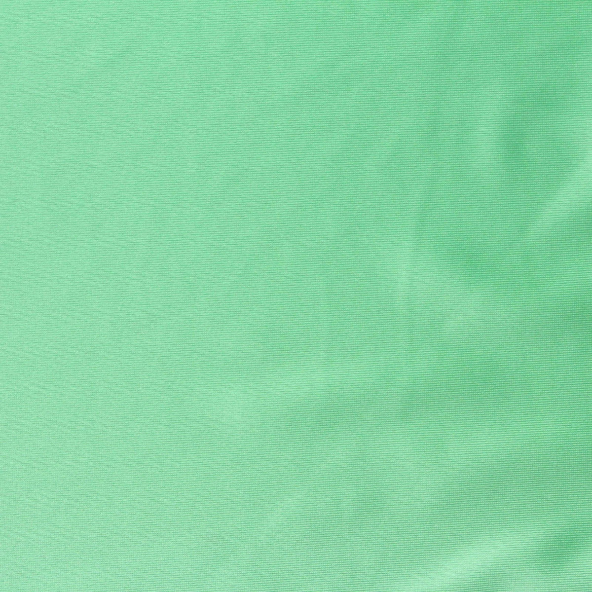 Nylon Stretch Knit Fabric, 160 gsm, 160 cm — Green, ref EF-278454