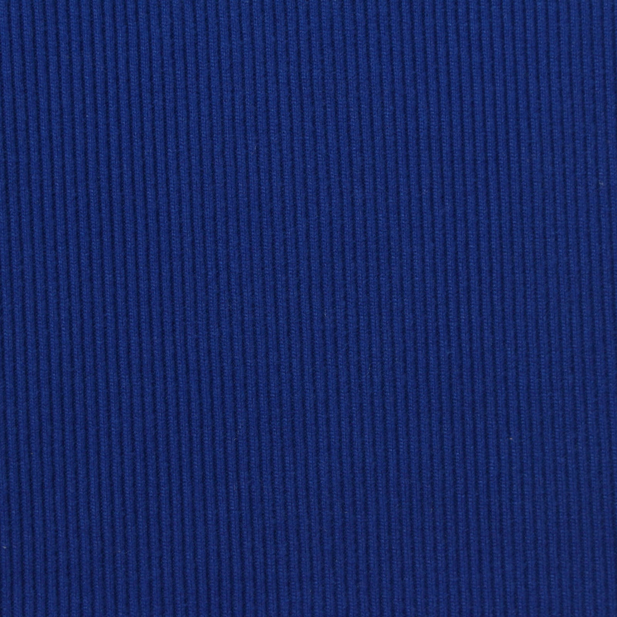 Brushed Polyester Stretch Rib Knit Fabric, 200 gsm, 140 cm — Blue