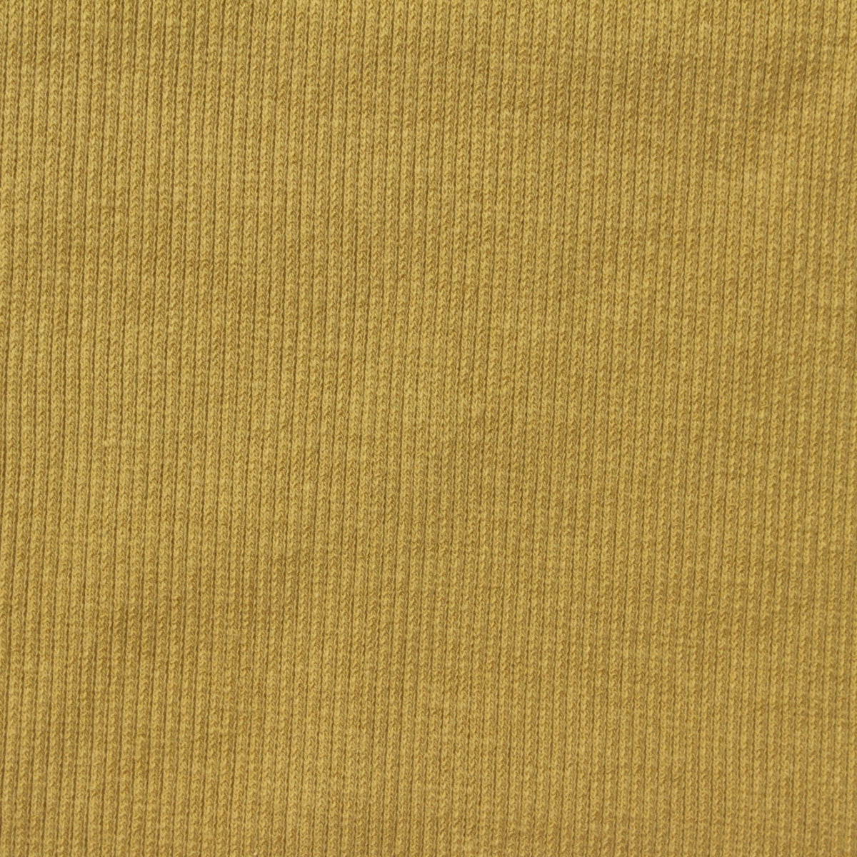 Cotton Stretch Rib Knit Fabric, 245 gsm, 120 cm — Khaki