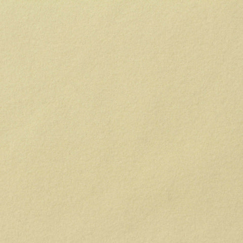 Polyester Stretch Velvet Fabric, 260 gsm, 188 cm — Beige