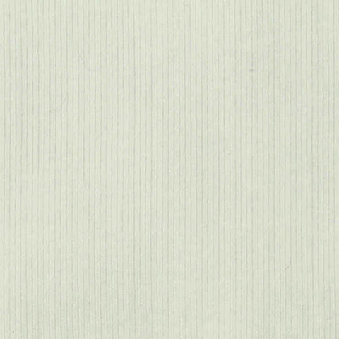 Cotton Stretch Rib Knit Fabric, 249 gsm, 180 cm — Beige