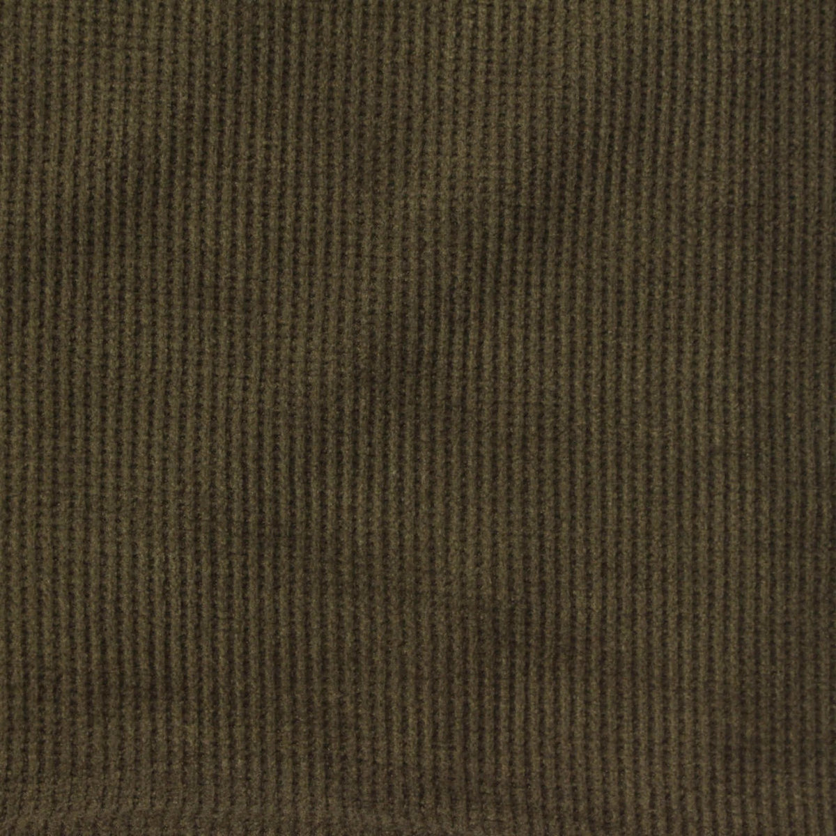 Cotton Polyester Stretch Knit Fabric, 220 gsm, 188 cm — Khaki