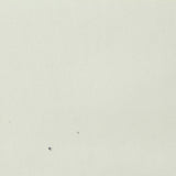 100% Tencel Lyocell Woven Fabric, 288 gsm, 165 cm — White