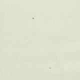 Cotton Polyester Blend Stretch Interlock Knit Fabric, 320 gsm, 155 cm — White