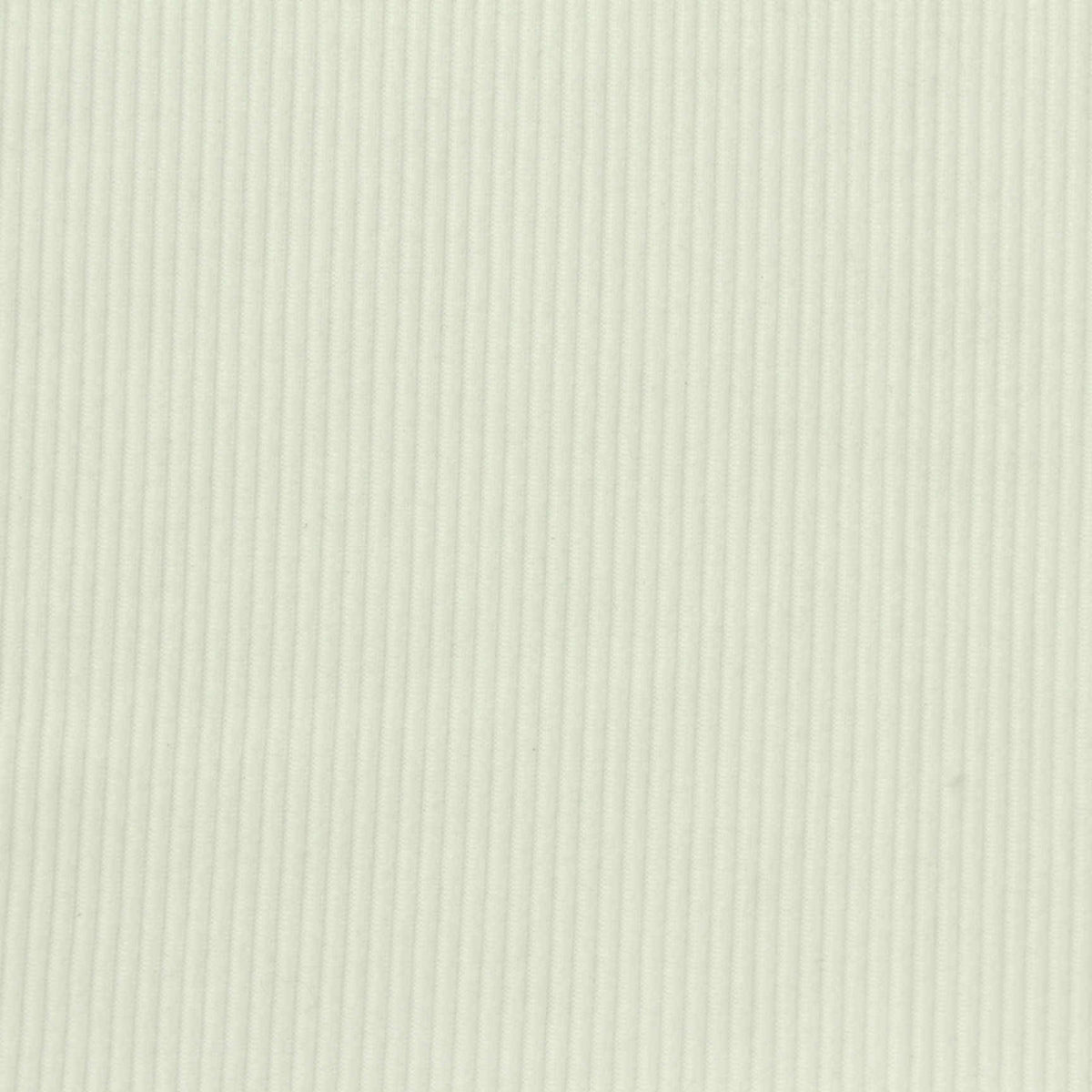 Polyester Stretch Rib Knit Fabric, 220 gsm, 160 cm — White