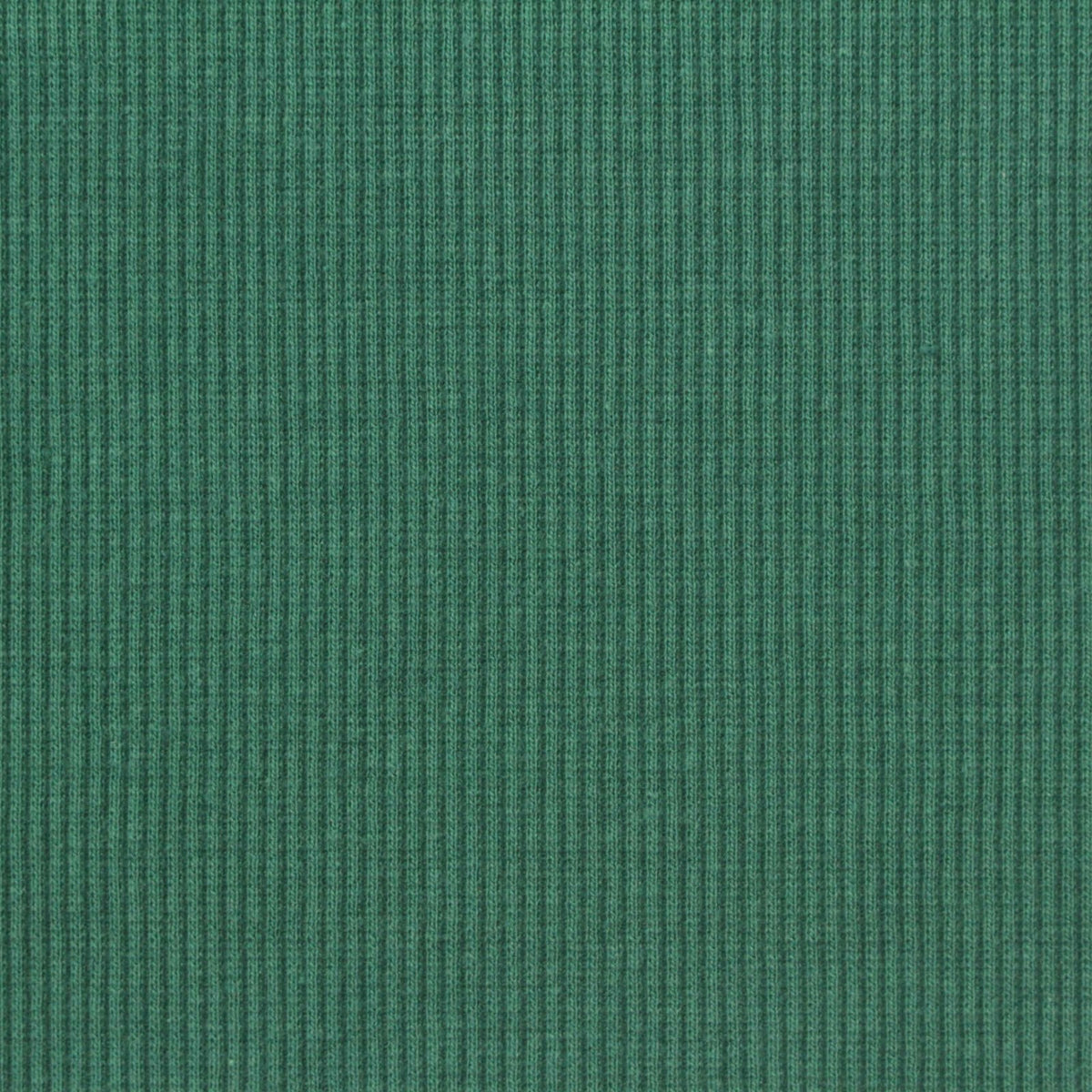 Polyester Cotton Stretch Rib Knit Fabric, 280 gsm — Green