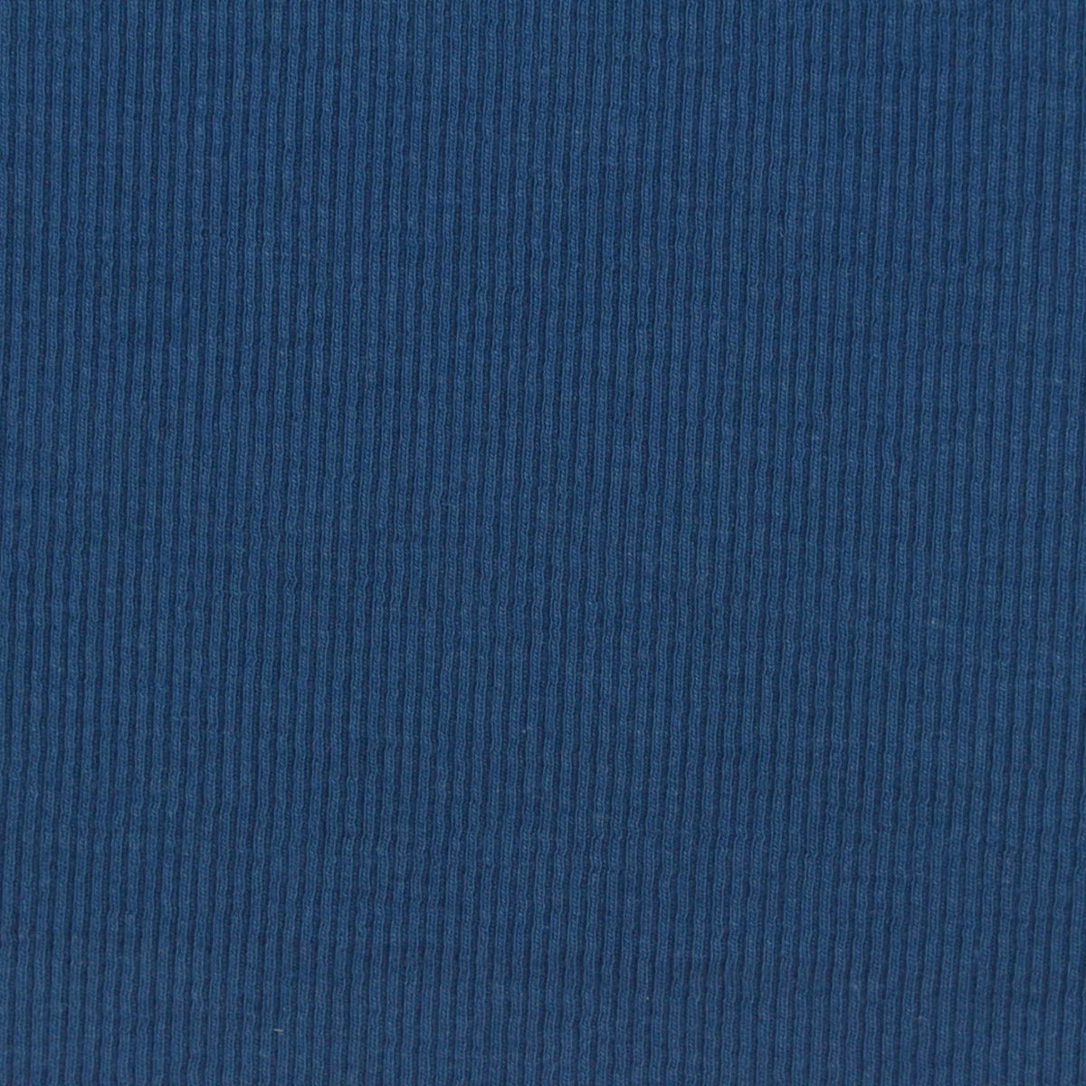 Cotton Polyester Stretch Rib Knit Fabric, 310 gsm, 122 cm — Blue