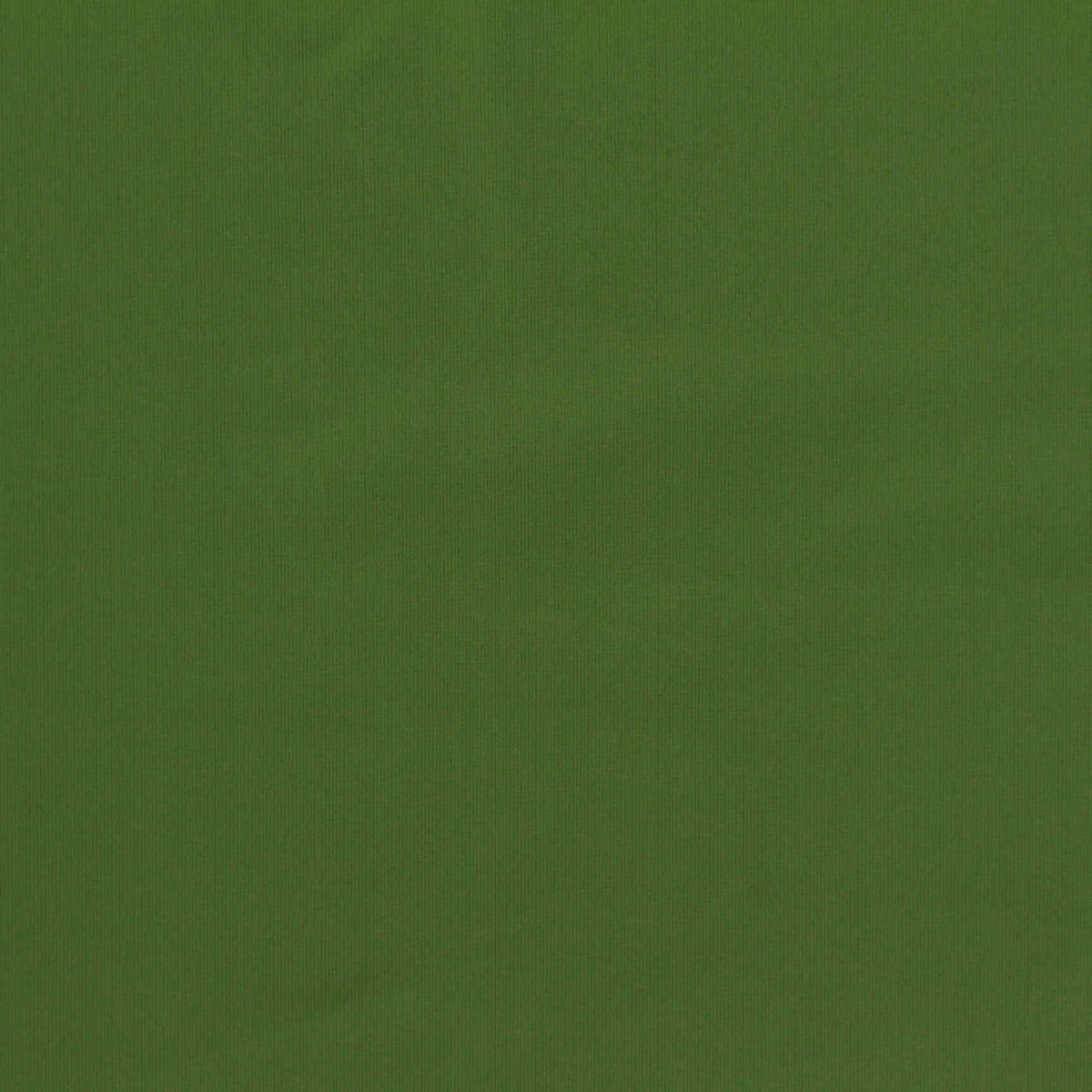 Nylon Stretch Knit Fabric, 200 gsm, 152 cm — Green