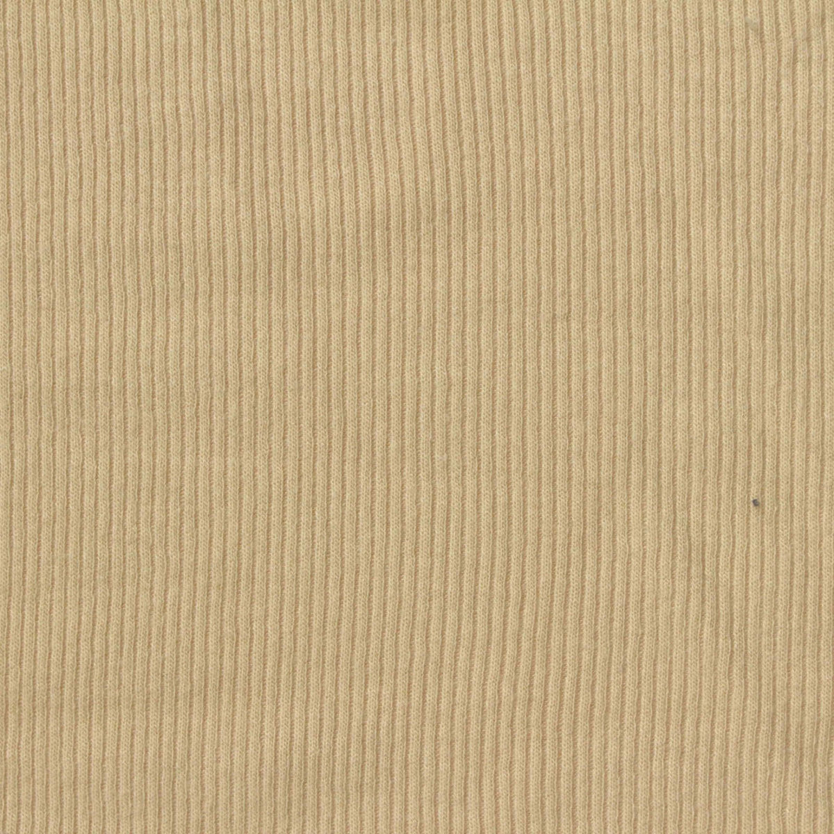 Polyester Viscose Stretch Rib Knit Fabric, 200 gsm, 127 cm — Beige