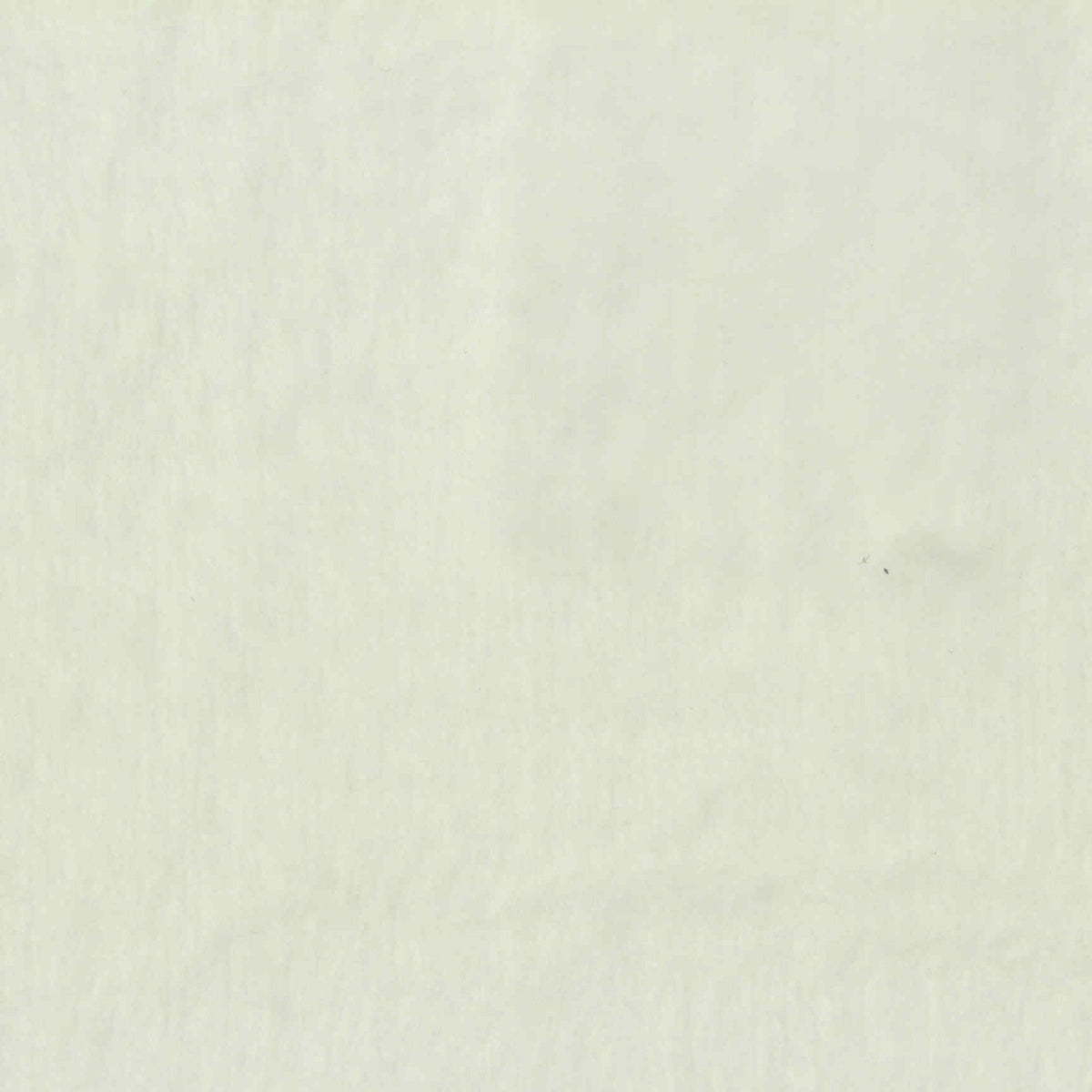 Polyester Cotton Stretch Velvet Fabric, 240 gsm, 178 cm — White