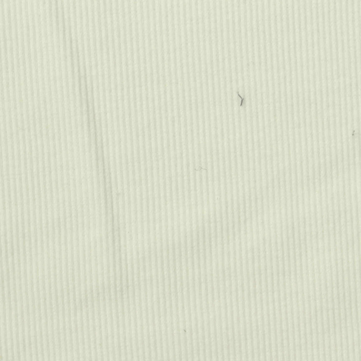 Cotton Stretch Rib Knit Fabric, 239 gsm, 150 cm — White