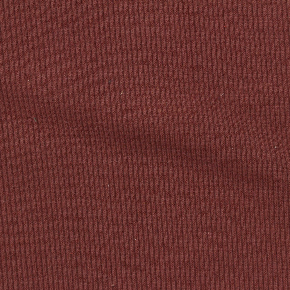 Cotton Polyester Stretch Rib Knit Fabric, 317 gsm, 135 cm — Brown