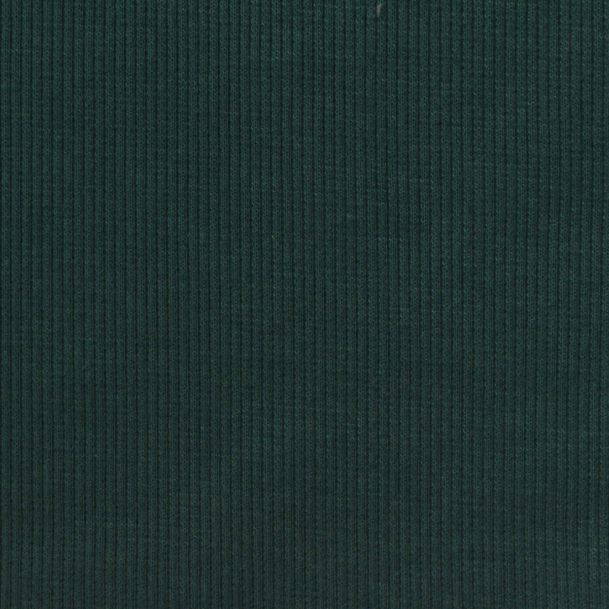 Polyester Cotton Stretch Rib Knit Fabric, 296 gsm, 135 cm — Green