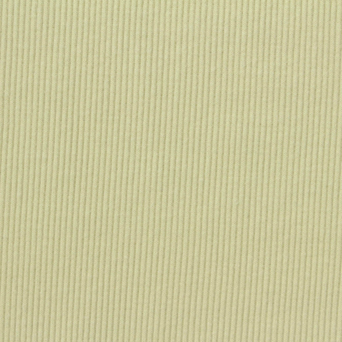 Cotton Polyester Stretch Rib Knit Fabric, 286 gsm, 135 cm — Beige