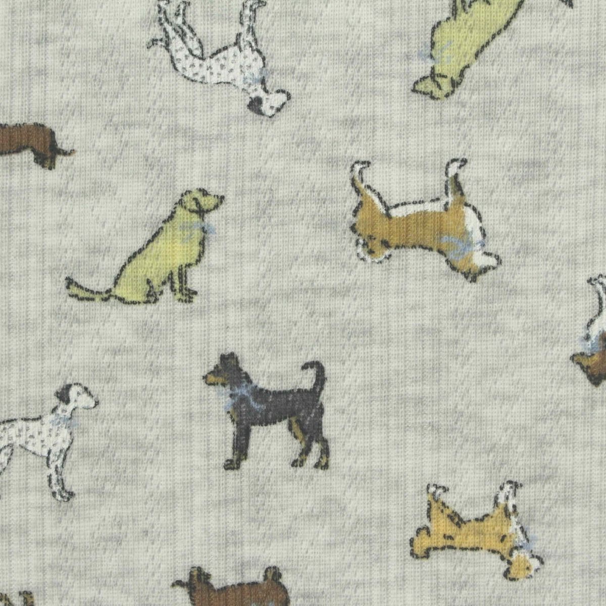 Grey Dogs Rib Knit, Polyester