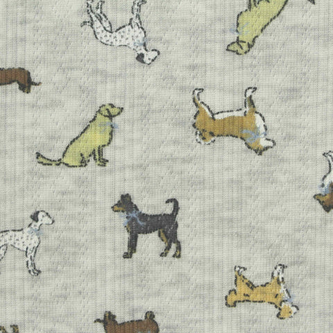 Grey Dogs Rib Knit, Polyester
