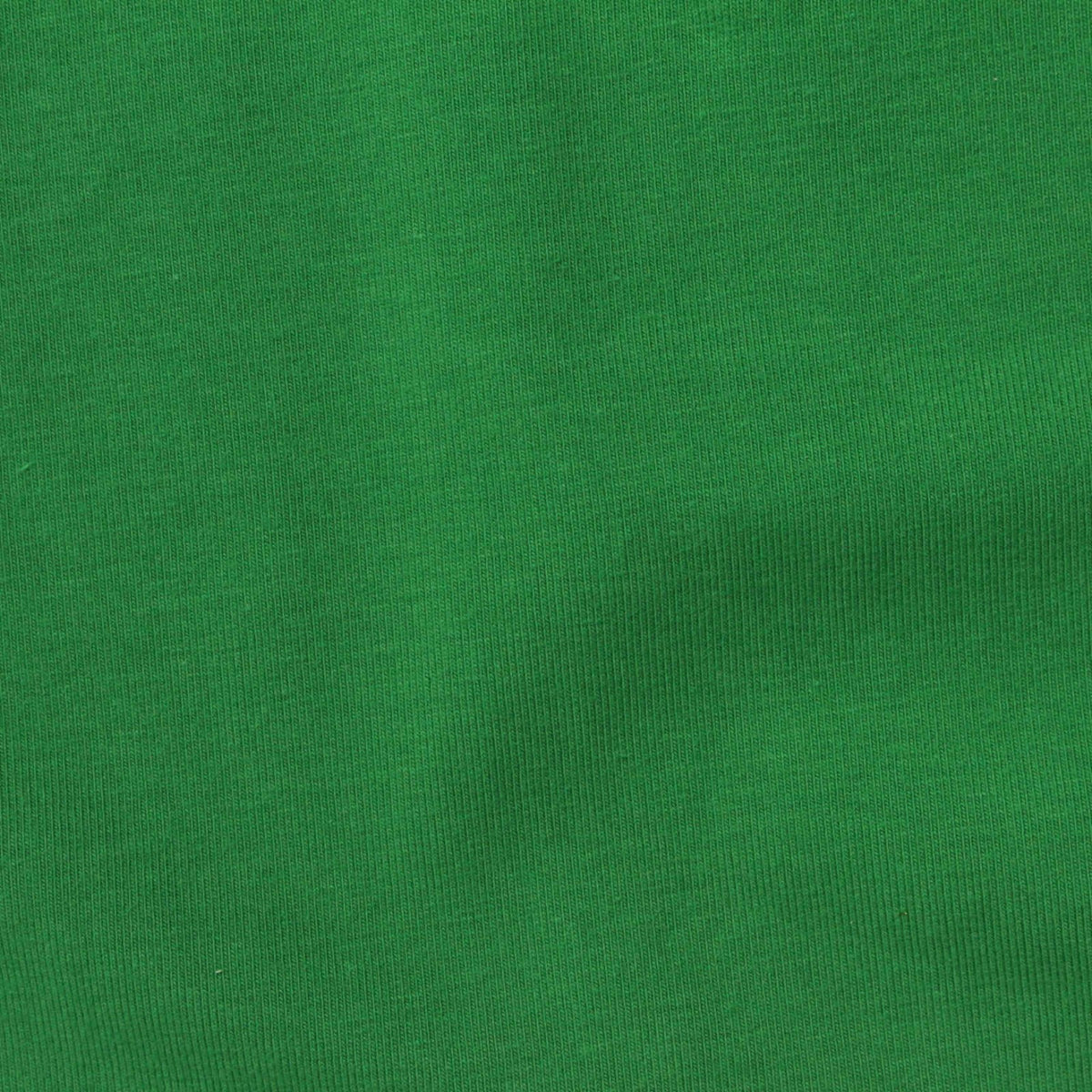 Cotton Stretch Jersey Knit Fabric, 250 gsm, 160 cm — Green