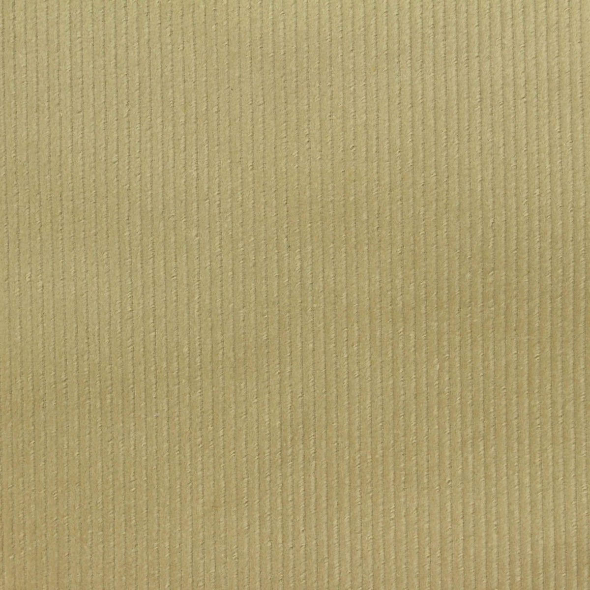 Cotton Stretch Corduroy Fabric, 290 gsm — Beige
