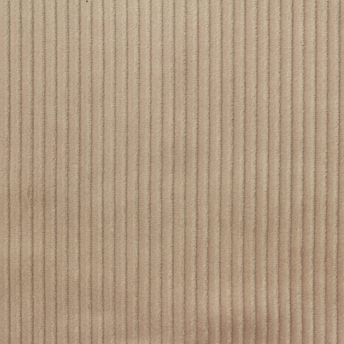 Beige Ribbed Corduroy, Cotton