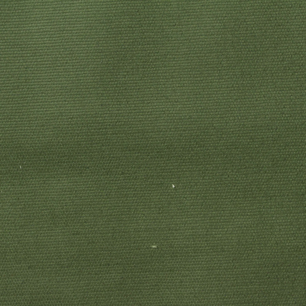 Olive Canvas, Cotton