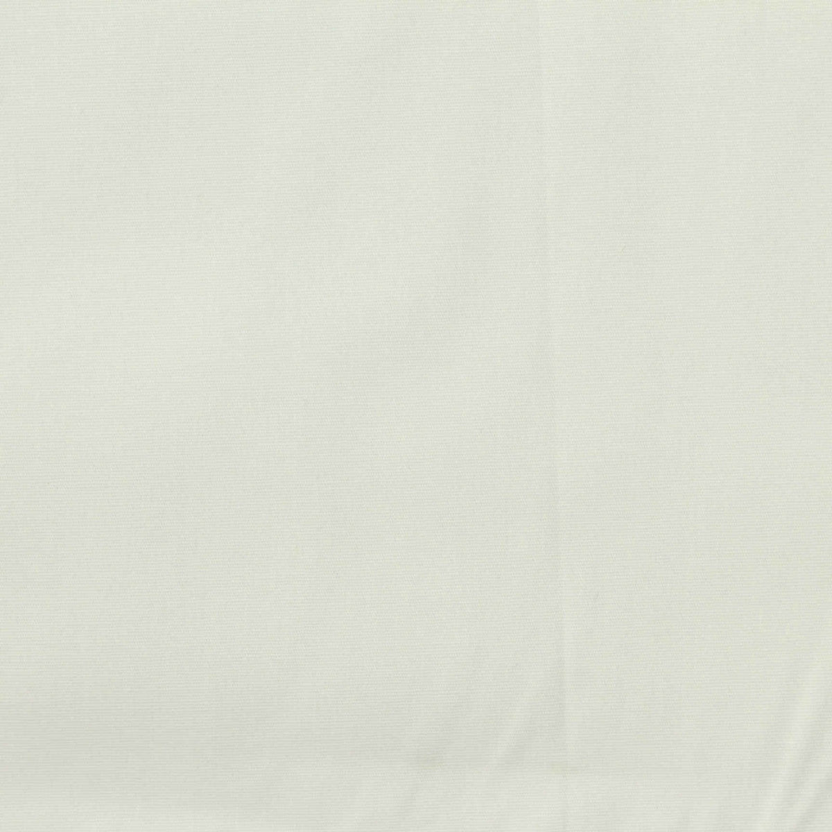 Off-White Poplin, Cotton