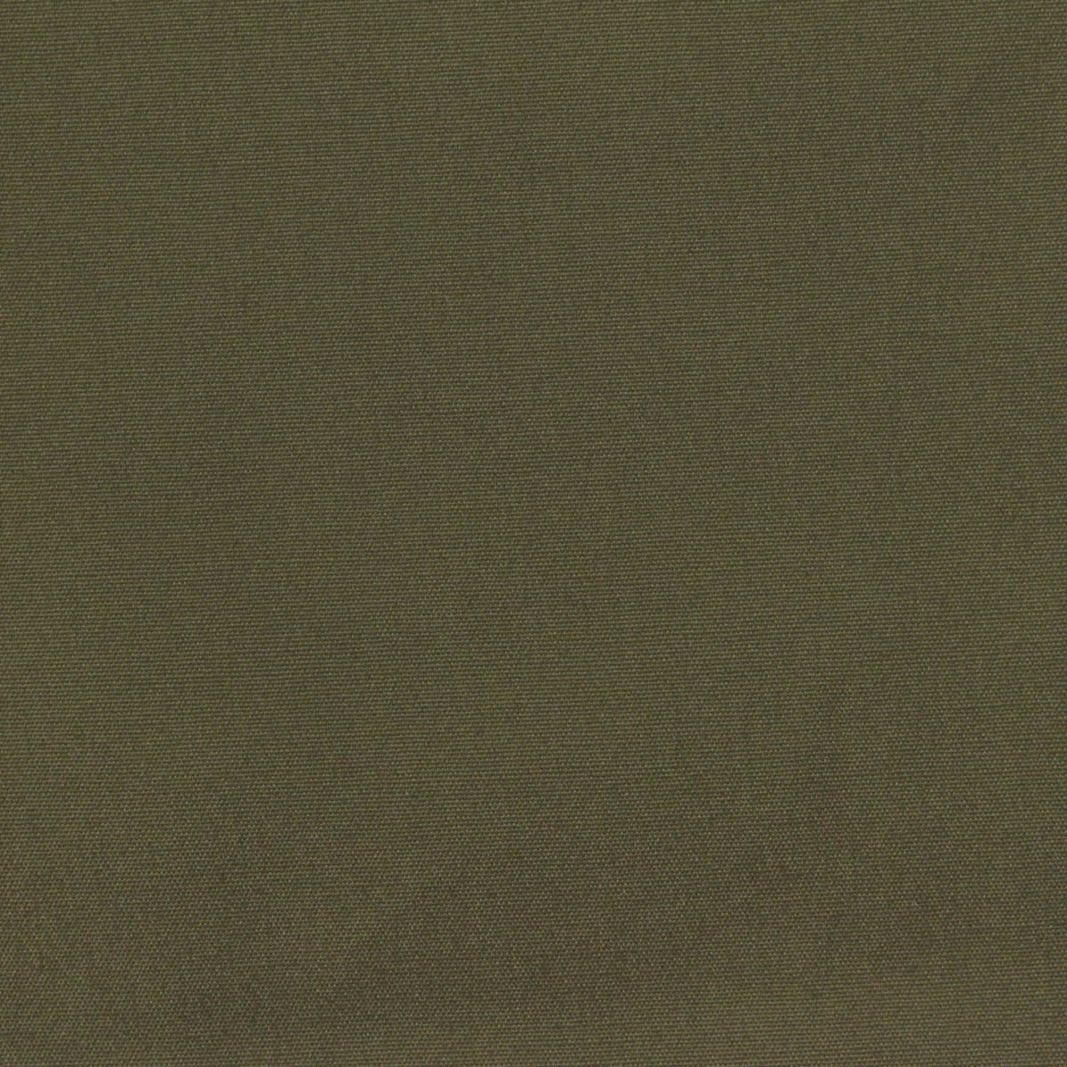 Olive Canvas, Cotton