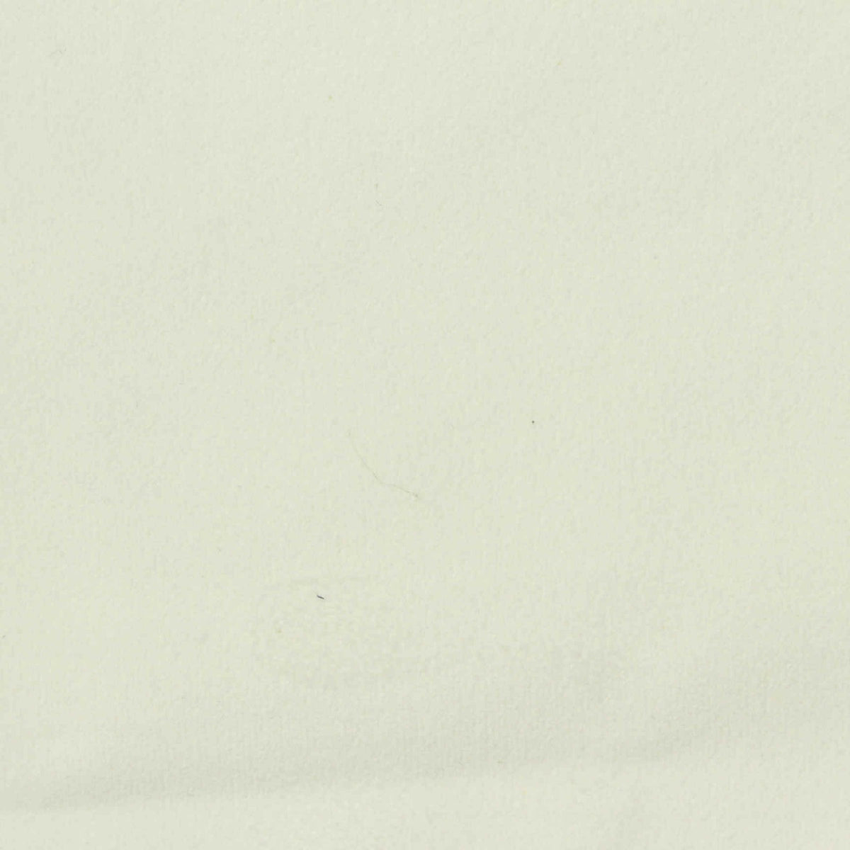 Off-White Velvet, Cotton