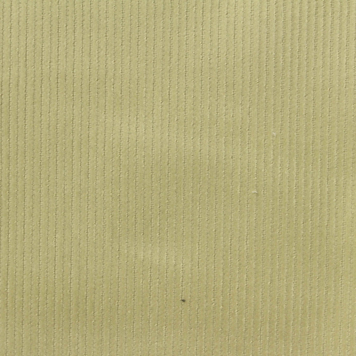 Light Khaki Corduroy, Cotton