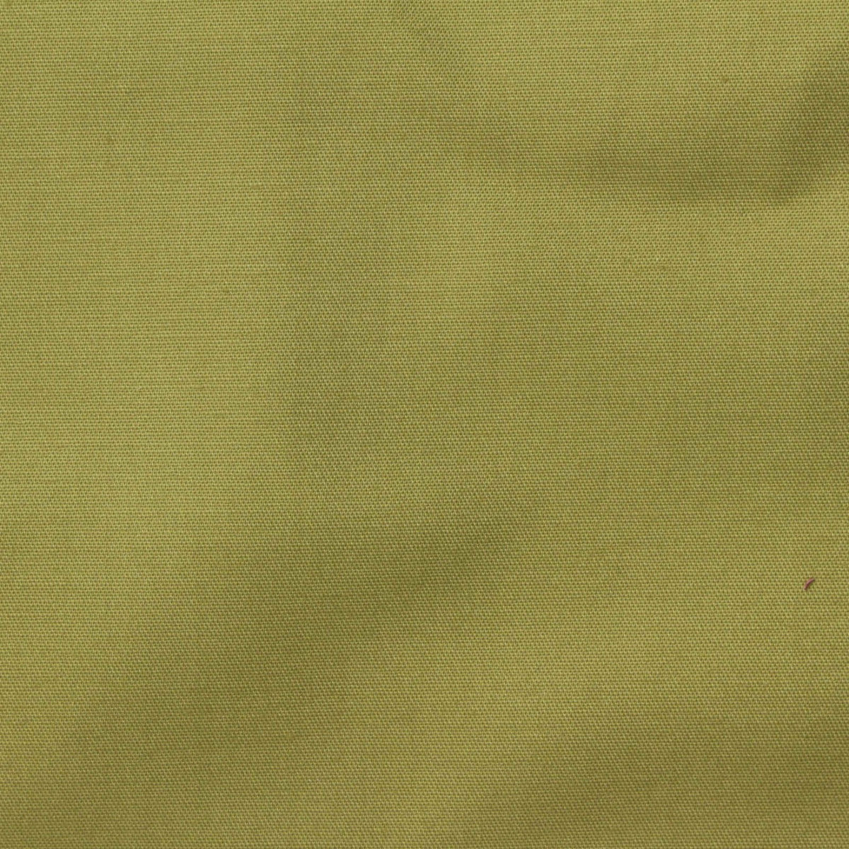 Olive Woven, Cotton