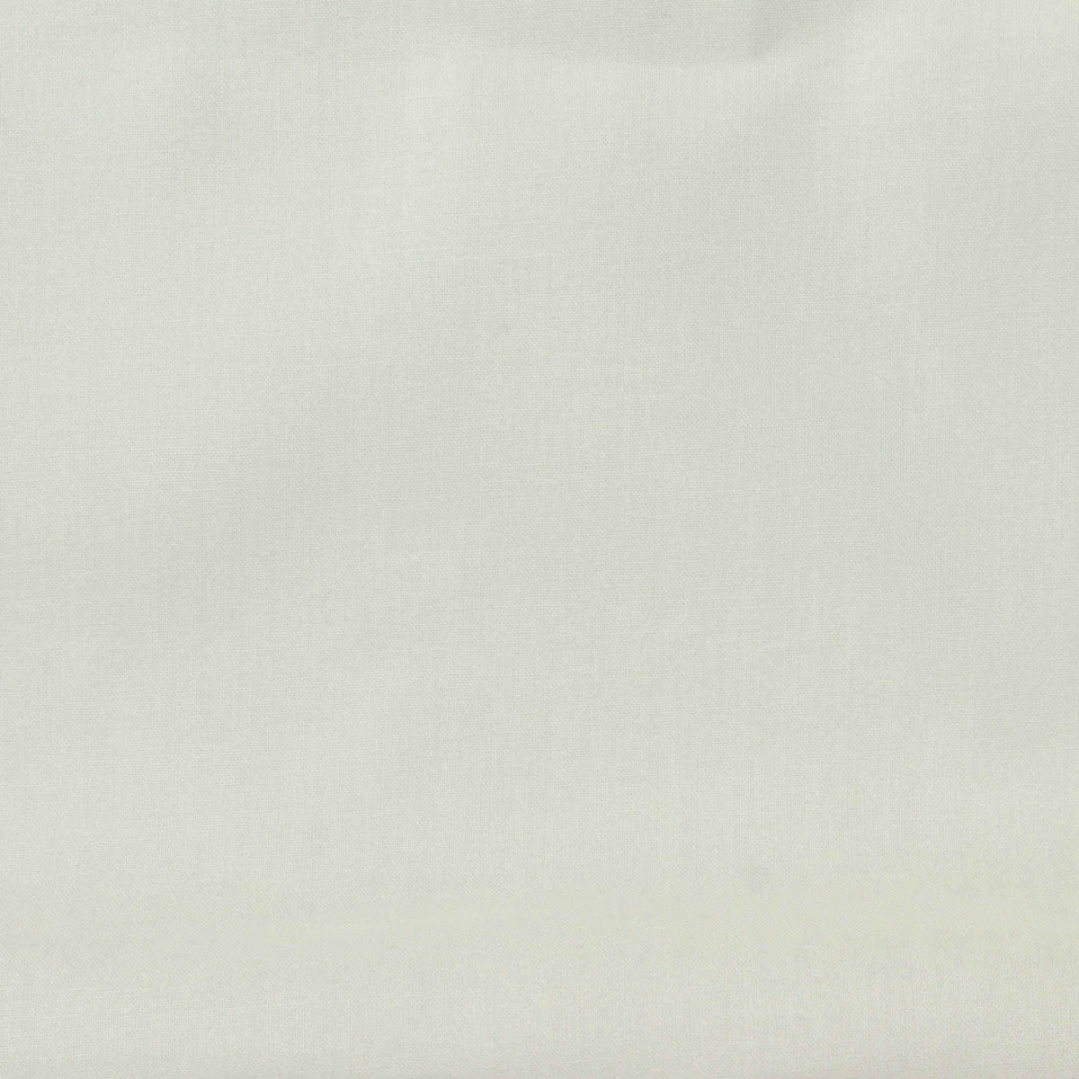 Off-White Poplin, Cotton