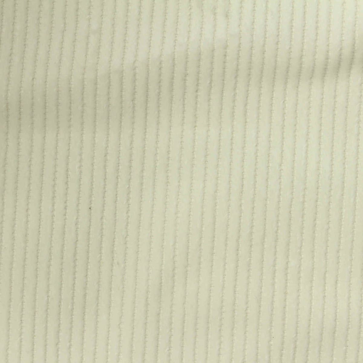 Cotton Stretch Corduroy Fabric, 337 gsm — Beige