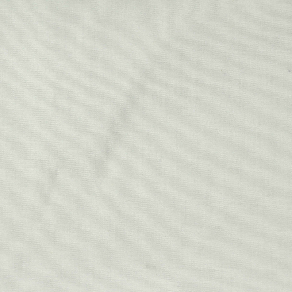 Off-White Poplin, Cotton