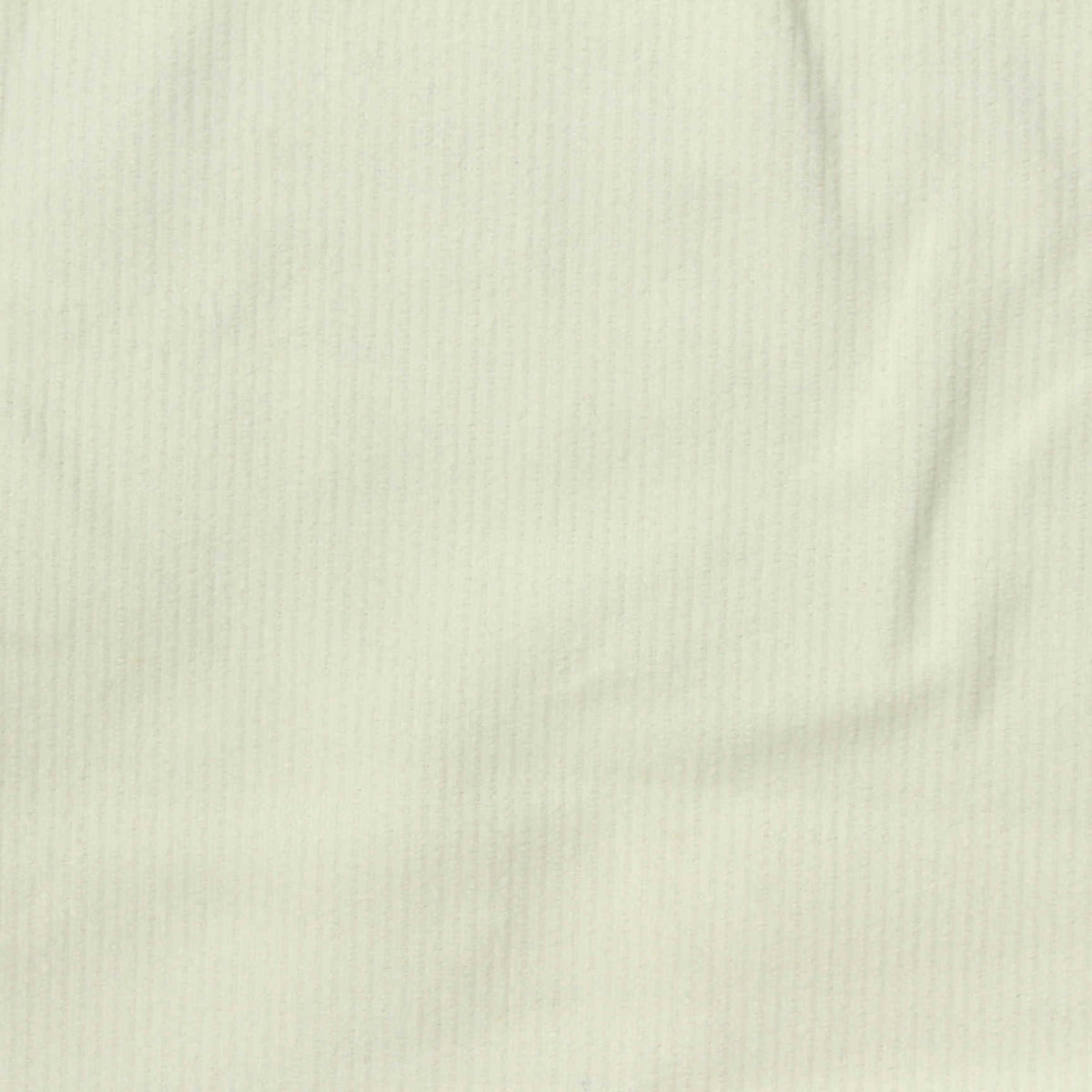 White Textured Corduroy, Cotton