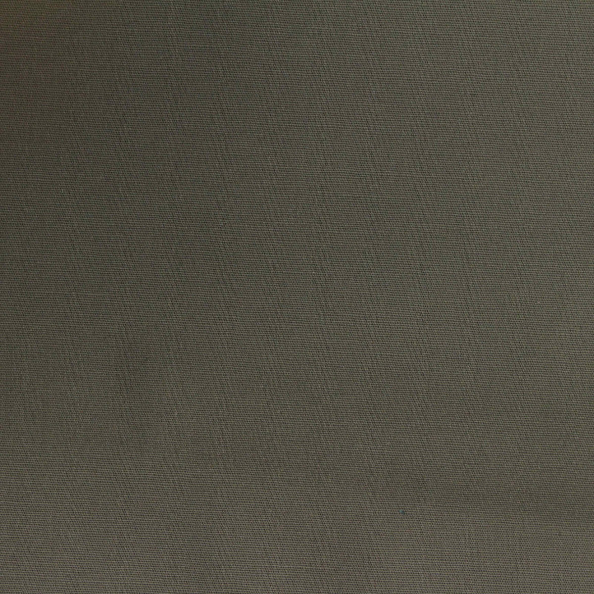 Cotton Stretch Poplin Fabric, 156 gsm — Khaki
