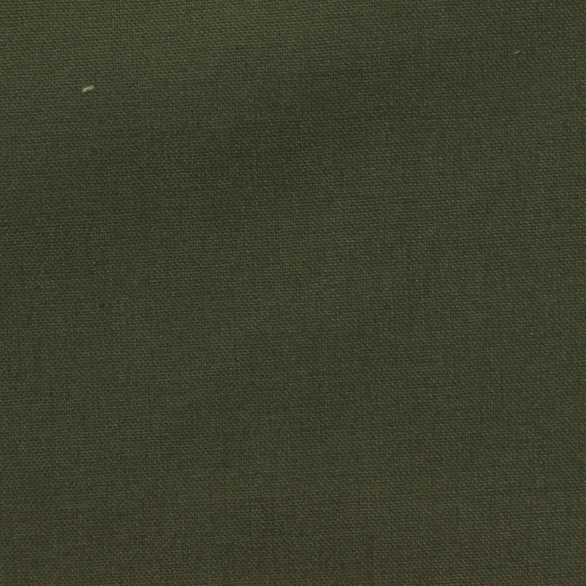 100% Cotton Oxford Fabric, 234 gsm — Green