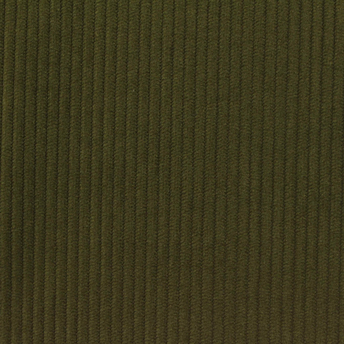 Olive Corduroy, Polyester