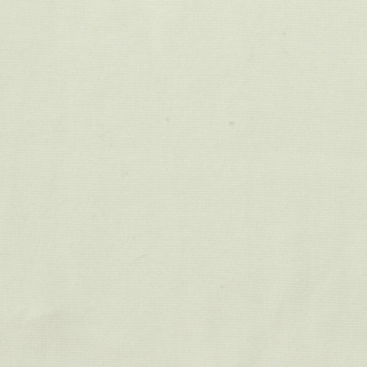 Cotton Polyester Stretch Ponte Knit Fabric, 220 gsm, 160 cm — White
