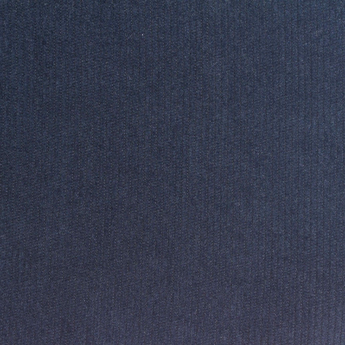 Brushed 100% Polyester Corduroy Fabric, 290 gsm, 153 cm — Navy