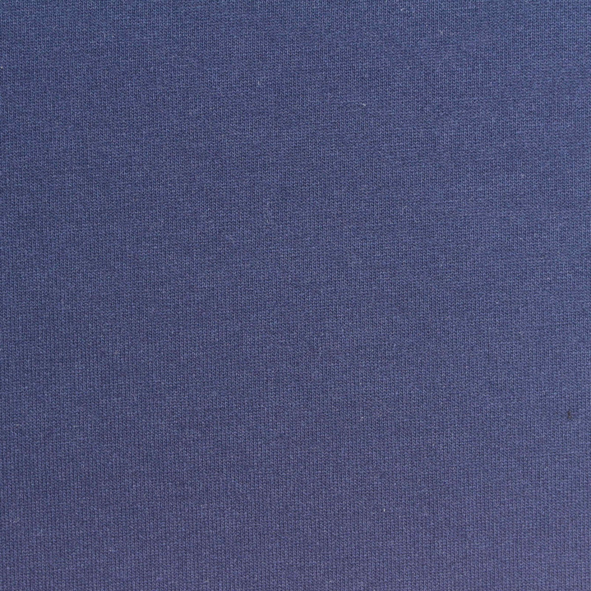 Polyester Viscose Stretch French Terry Fabric, 250 gsm, 155 cm — Blue