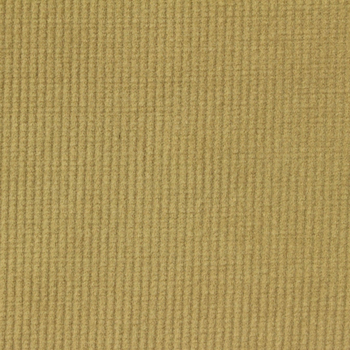 Polyester Stretch Rib Knit Fabric, 340 gsm, 150 cm — Khaki