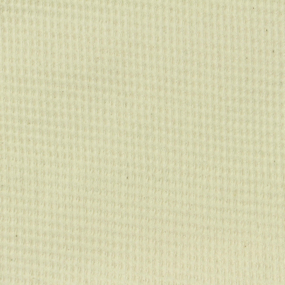 Off-White Textured Knit, Cotton