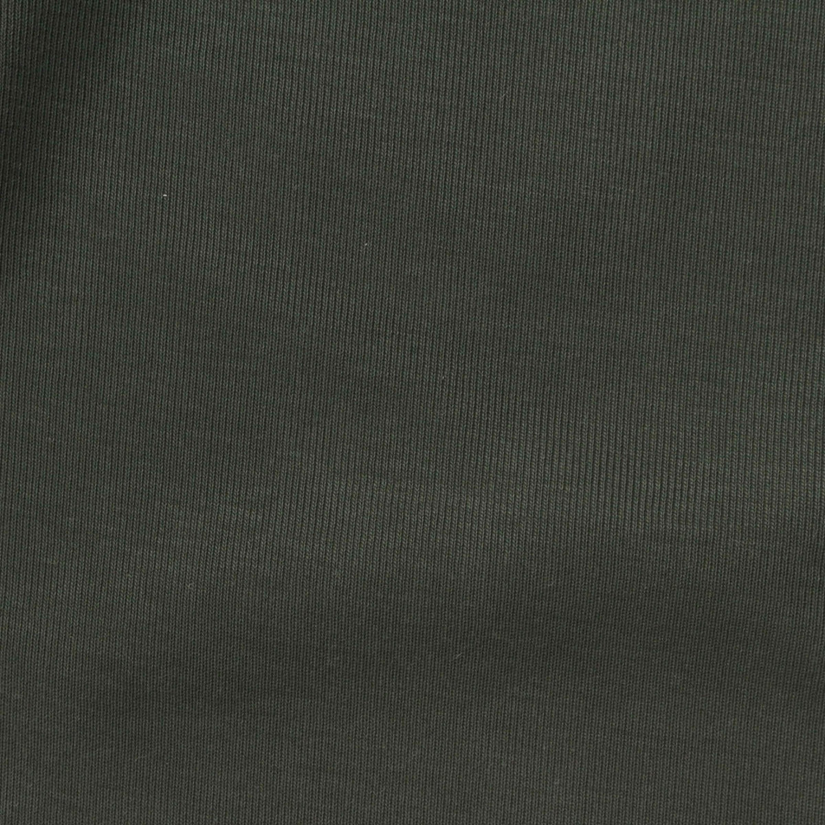 Tencel Lyocell Polyester Rib Knit Fabric, 240 gsm — Green