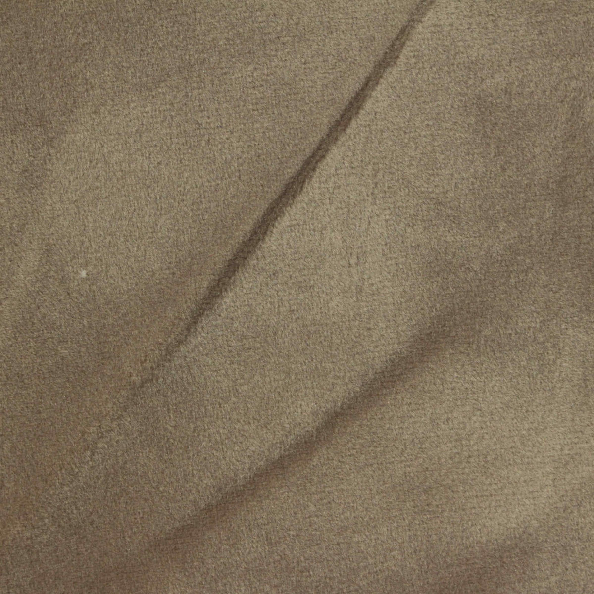 Taupe Minky, Polyester