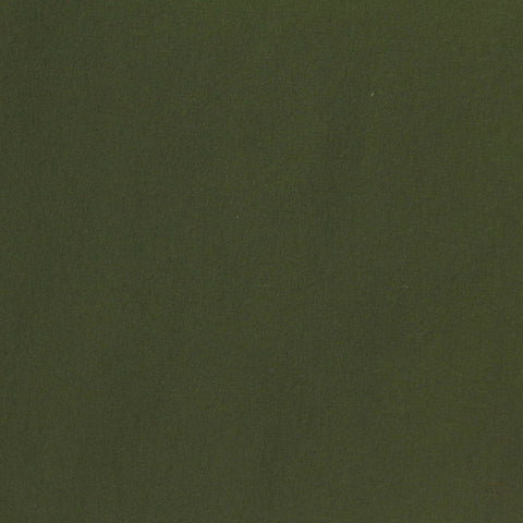 Nylon Stretch Woven Fabric, 150 gsm, 145 cm — Green, ref EF-271996