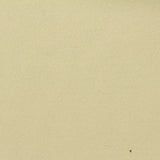 100% Polyester Knit Fabric, 420 gsm, 160 cm — Beige — photo 3