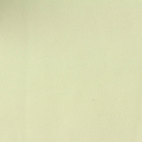 Brushed 100% Polyester Interlock Knit Fabric, 300 gsm, 170 cm — Green
