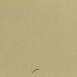 Brushed Polyester Stretch Rib Knit Fabric, 537 gsm, 170 cm — Khaki — photo 3