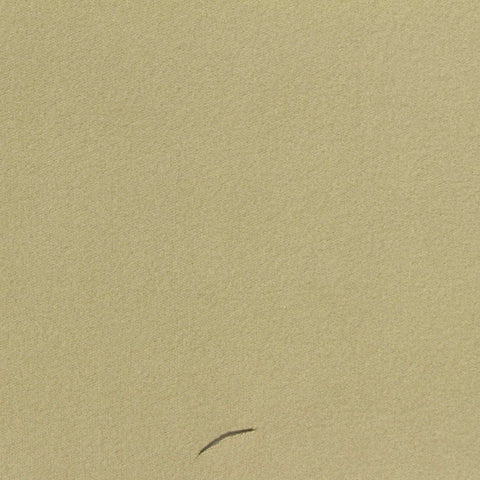 Brushed Polyester Stretch Rib Knit Fabric, 537 gsm, 170 cm — Khaki