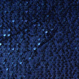 Blue Sequin Knit, Polyester